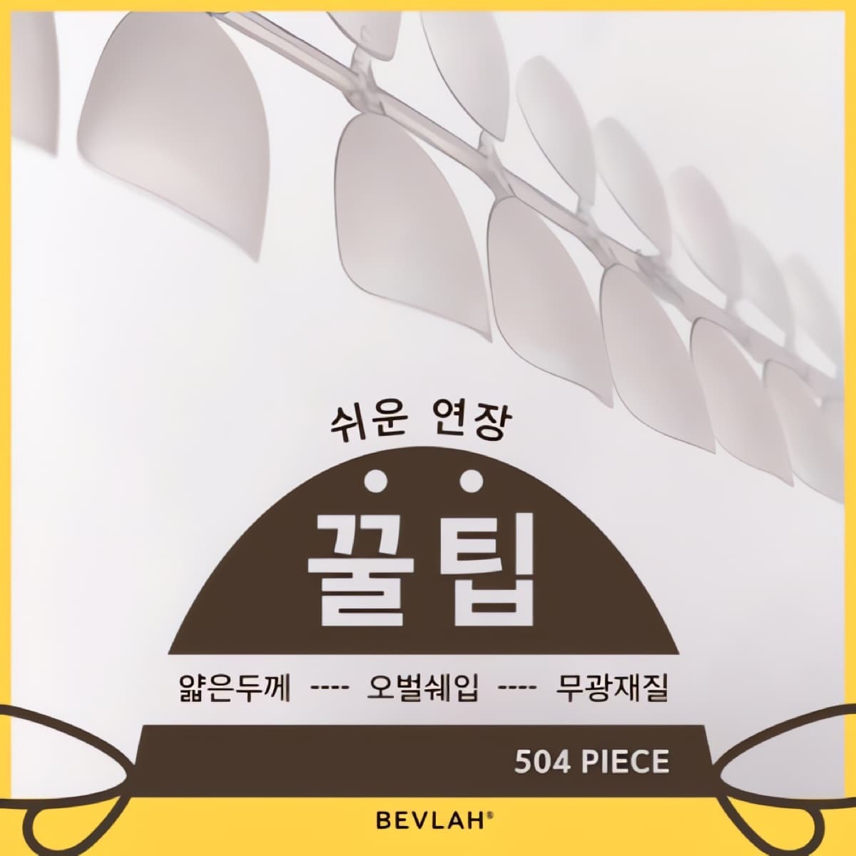 비블라 꿀팁_숏오벌 504개입