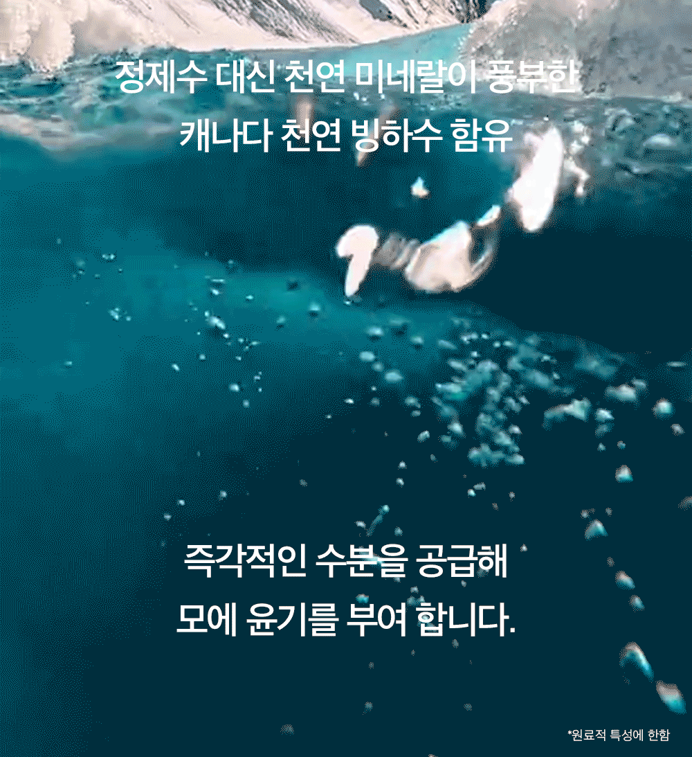 5.gif