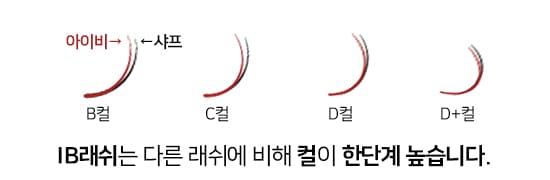 AMBER IB래쉬 블랙