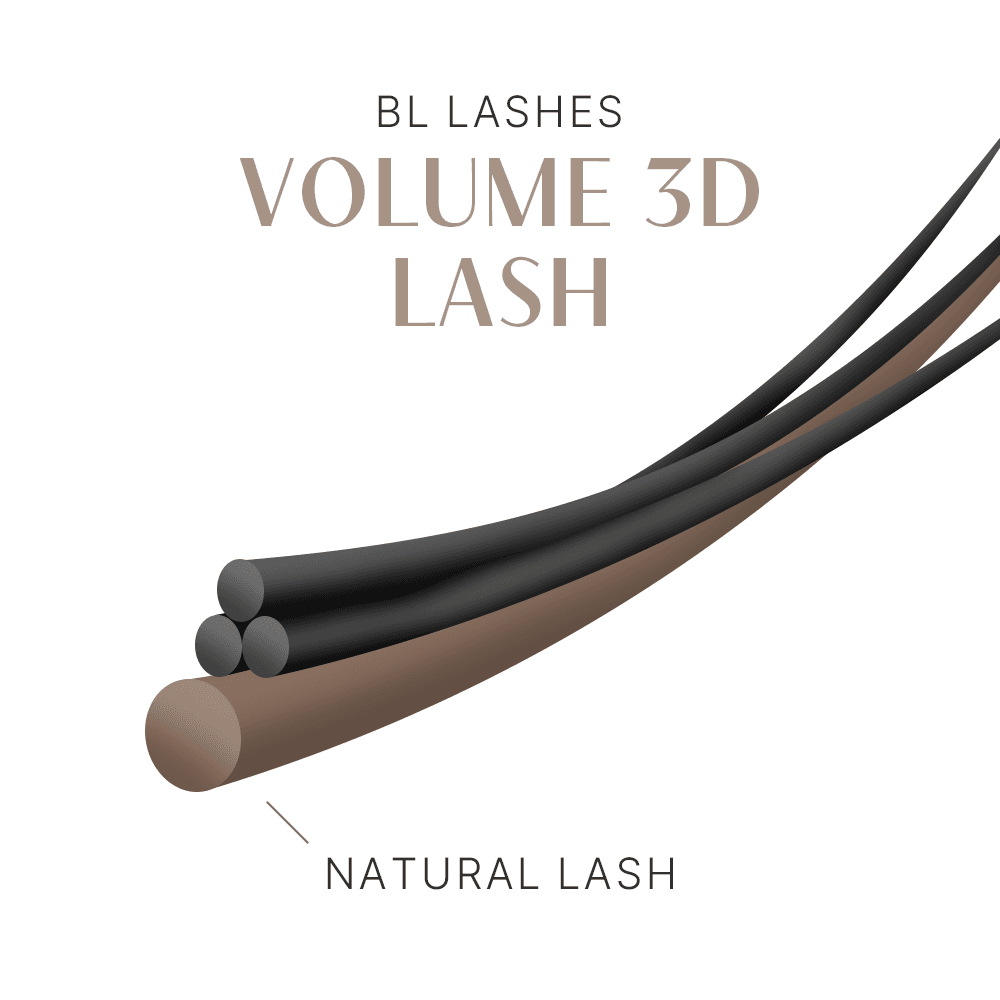 BL Lashes 비엘래쉬 볼륨 3D 래쉬 이미지 4