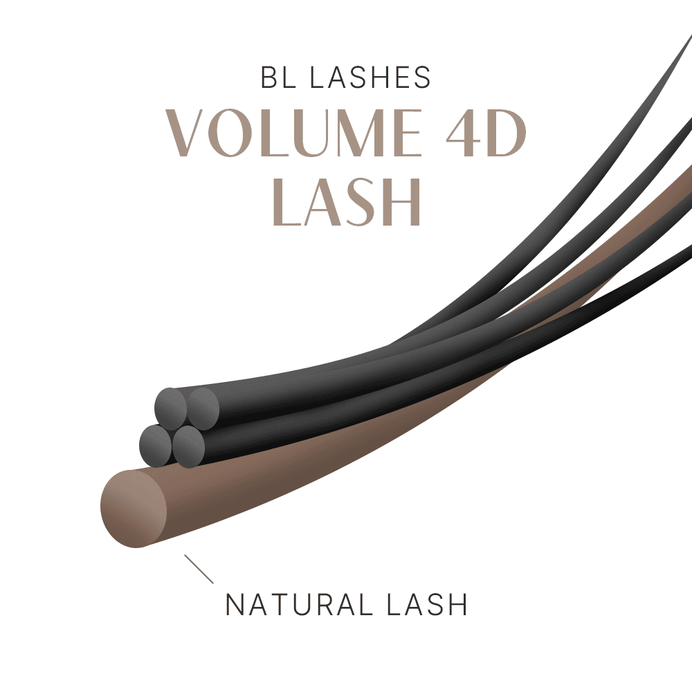 BL Lashes 비엘래쉬 볼륨 4D 래쉬 이미지 4