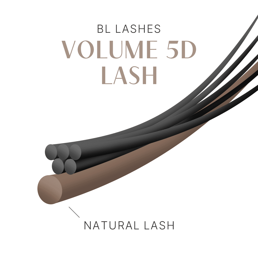 BL Lashes 비엘래쉬 볼륨 5D 래쉬 이미지 4