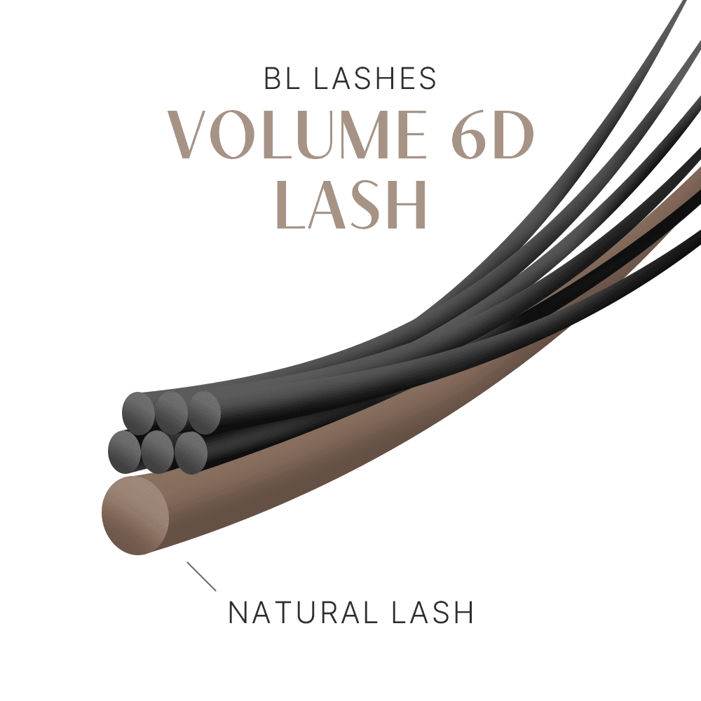 BL Lashes 비엘래쉬 볼륨 6D 래쉬 이미지 4