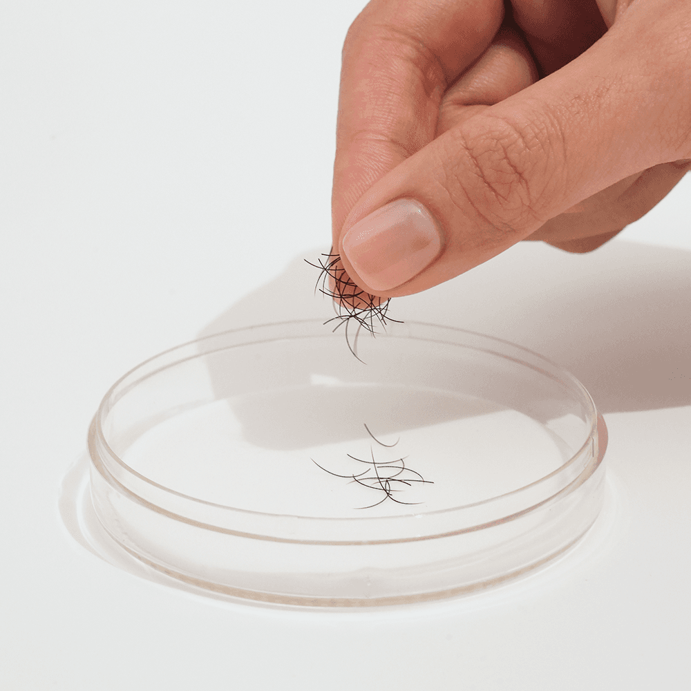 BL Lashes 비엘래쉬 래쉬 패드 이미지 3