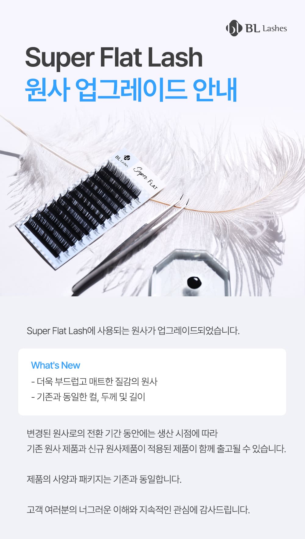 BL Lashes 비엘래쉬 슈퍼 플랫 래쉬 딥 브라운