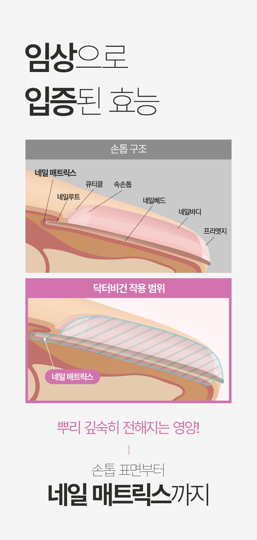 위드샨 닥터비건 손톱 영양제