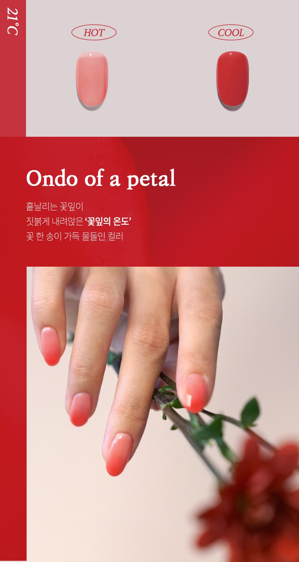 위드샨 온도 변화 매니큐어 | 온도 네일 폴리쉬