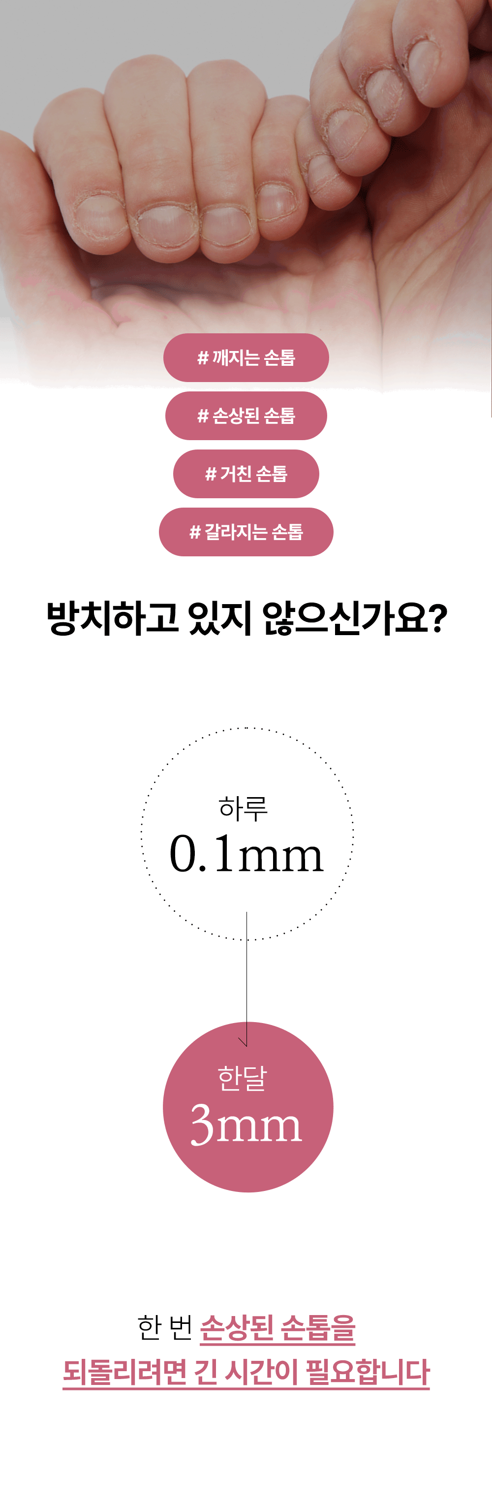 위드샨 네일 스트랭쓰너