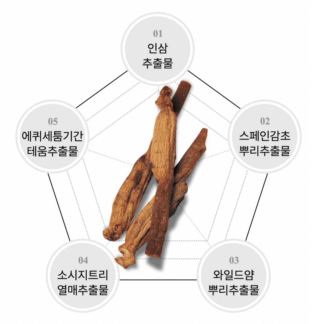 위드샨 루트 리페어 네일 영양제