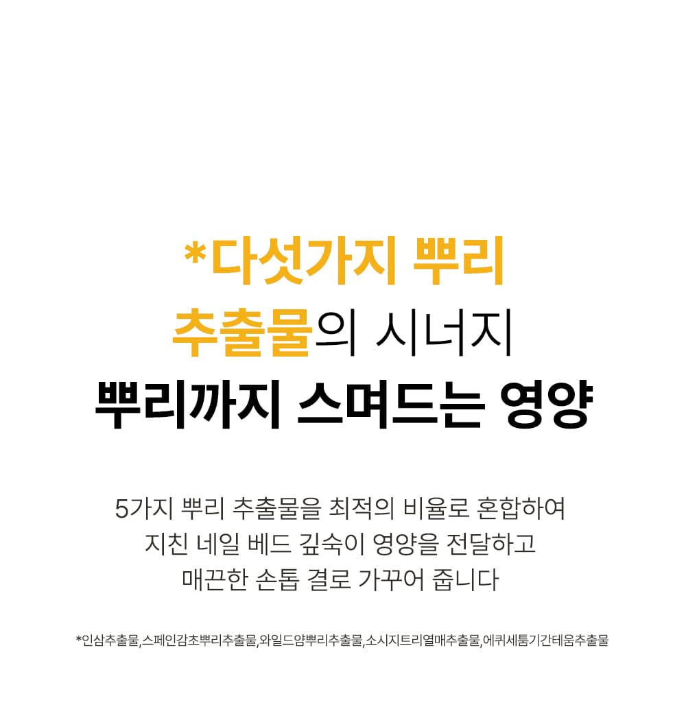 위드샨 루트 리페어 네일 영양제