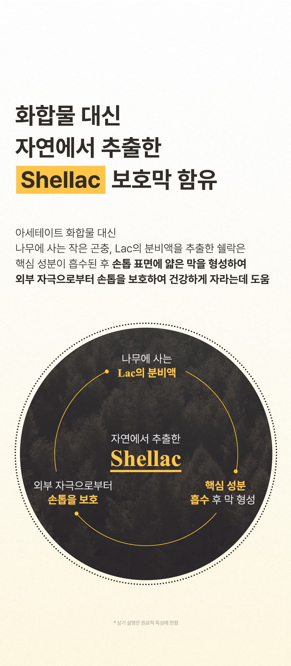 위드샨 루트 리페어 네일 영양제