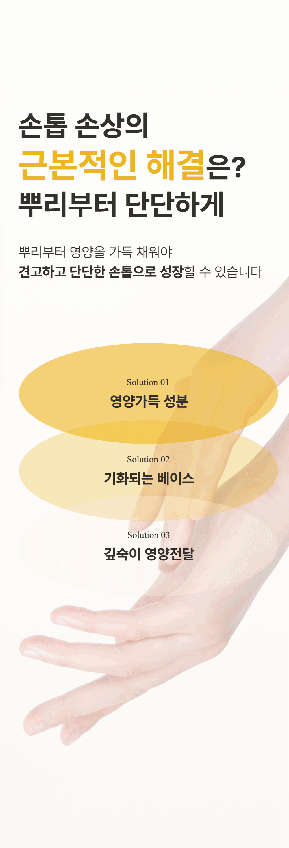 위드샨 루트 리페어 네일 영양제