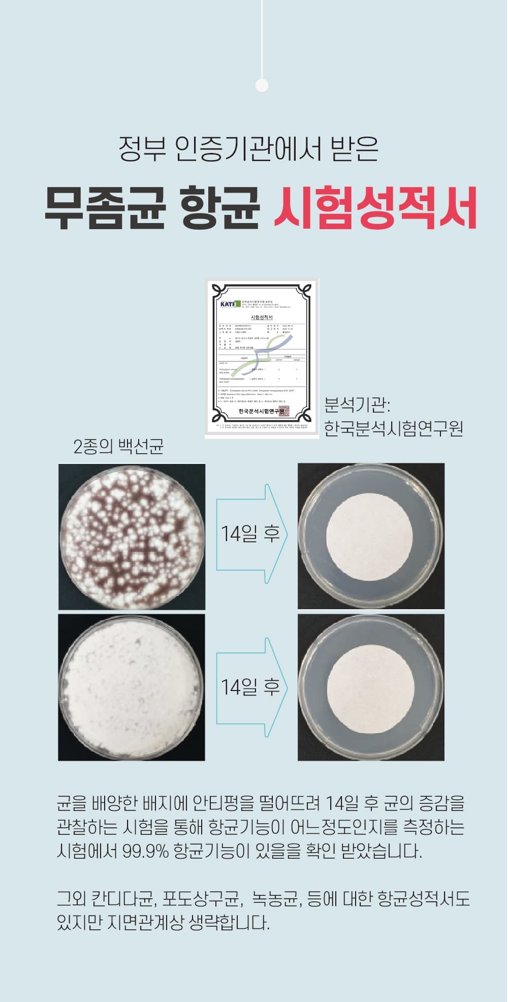 뷰젤 안티펑 5ml 손발톱 영양제 손톱강화제 네일 세럼