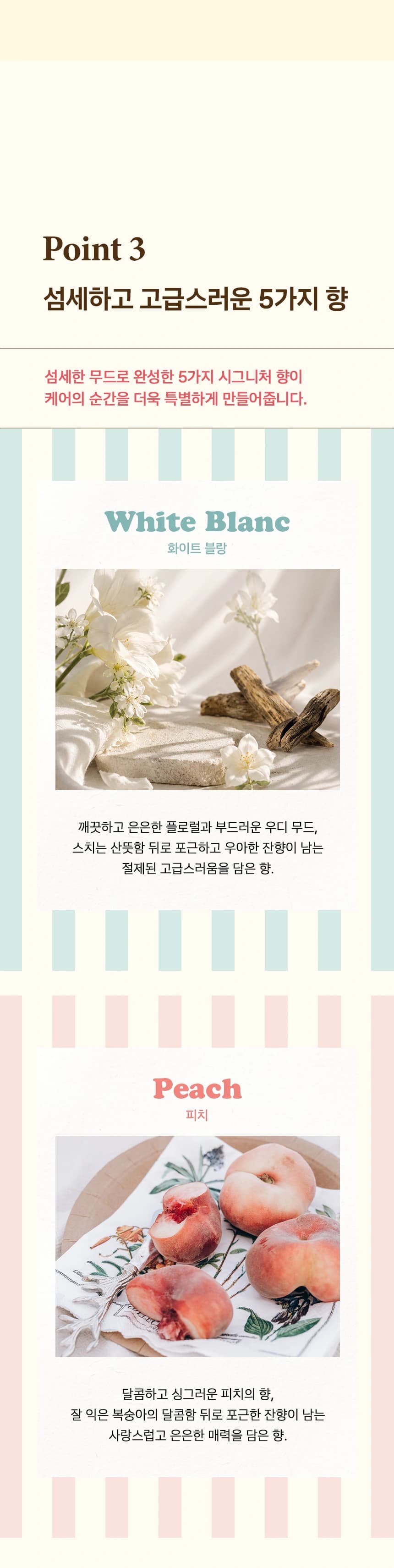 9.webp