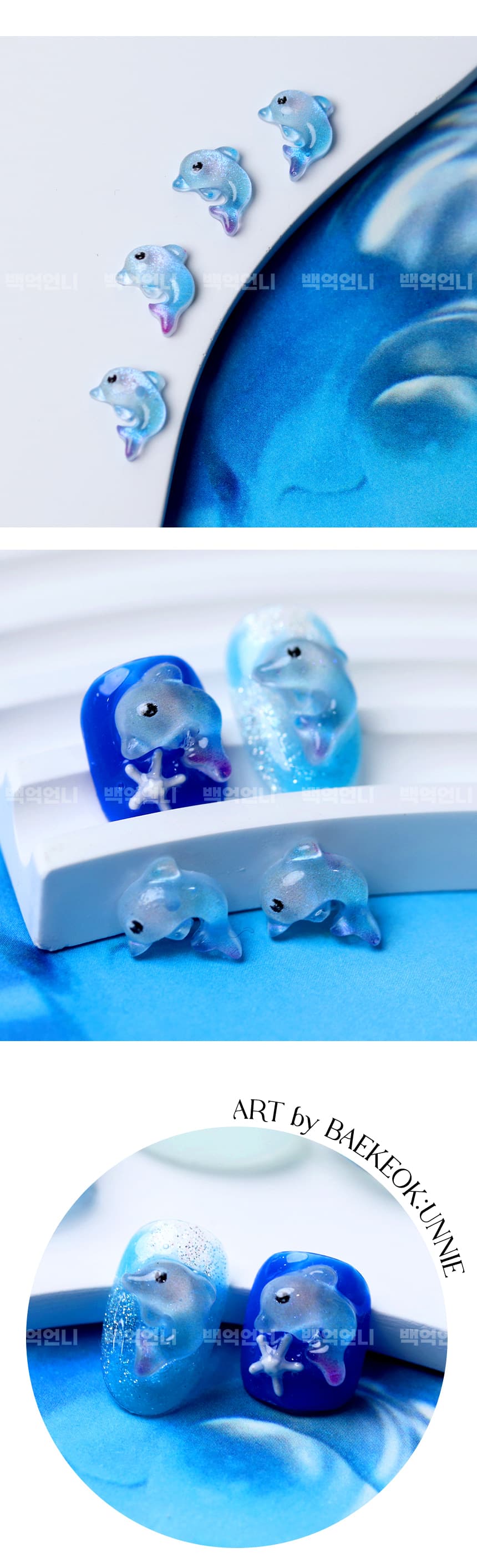dolphin_detail_02.jpg