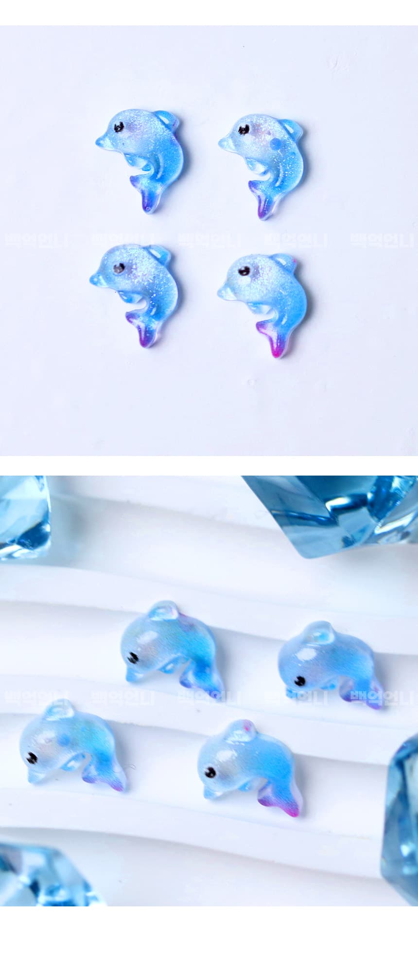 dolphin_detail_03.jpg