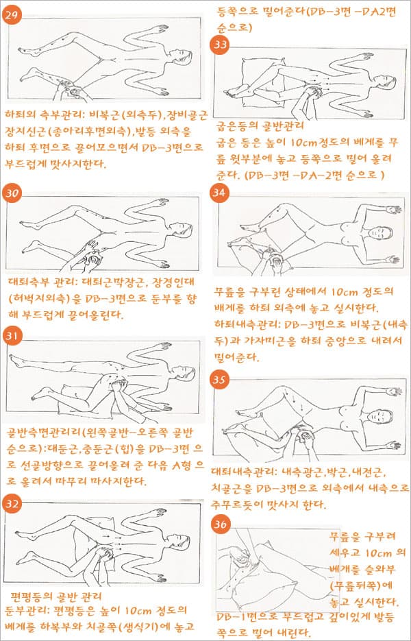 접시다이어트박정덕경락접시 보급형일반접시 얼굴관리 상세 이미지 6
