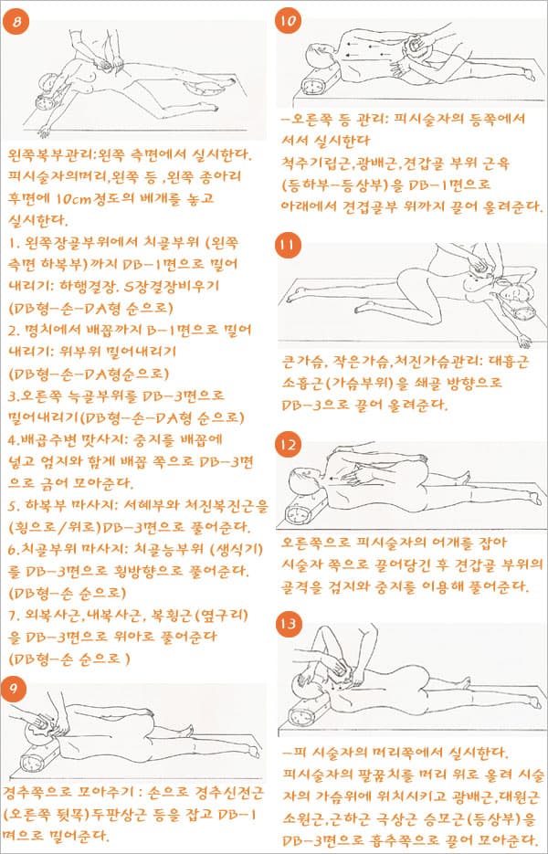 접시다이어트박정덕경락접시 보급형일반접시 얼굴관리 상세 이미지 3