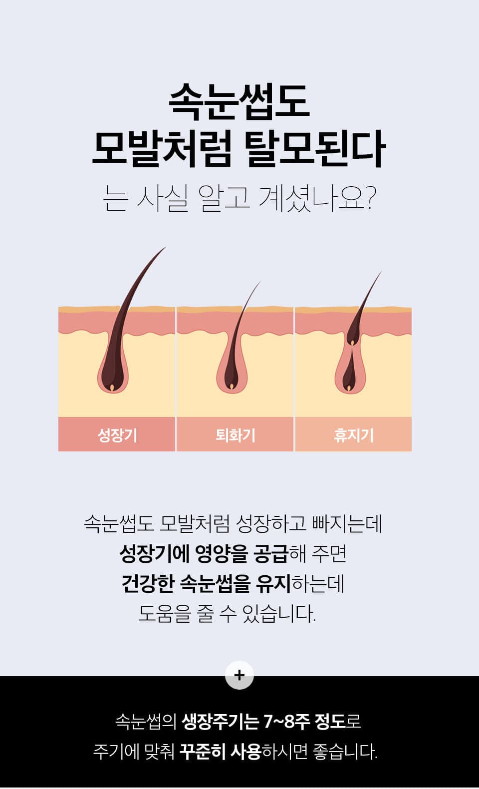 뷰떼루아 래쉬 픽서 10ml 속눈썹 영양제 상세 이미지 3