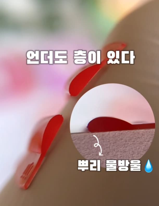 이지살롱 식빵 언더 롯드 상세 이미지 4