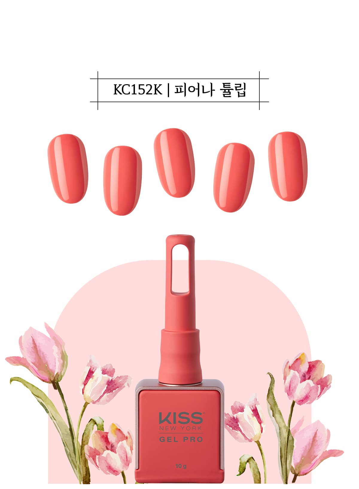 키스뉴욕 피어나 튤립 KC152K 상세 이미지 2