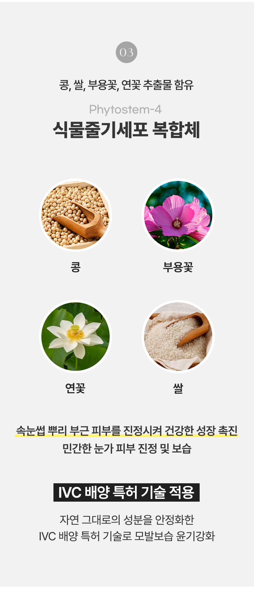 래쉬팩토리 이지밤 Easy Balm 상세 이미지 6