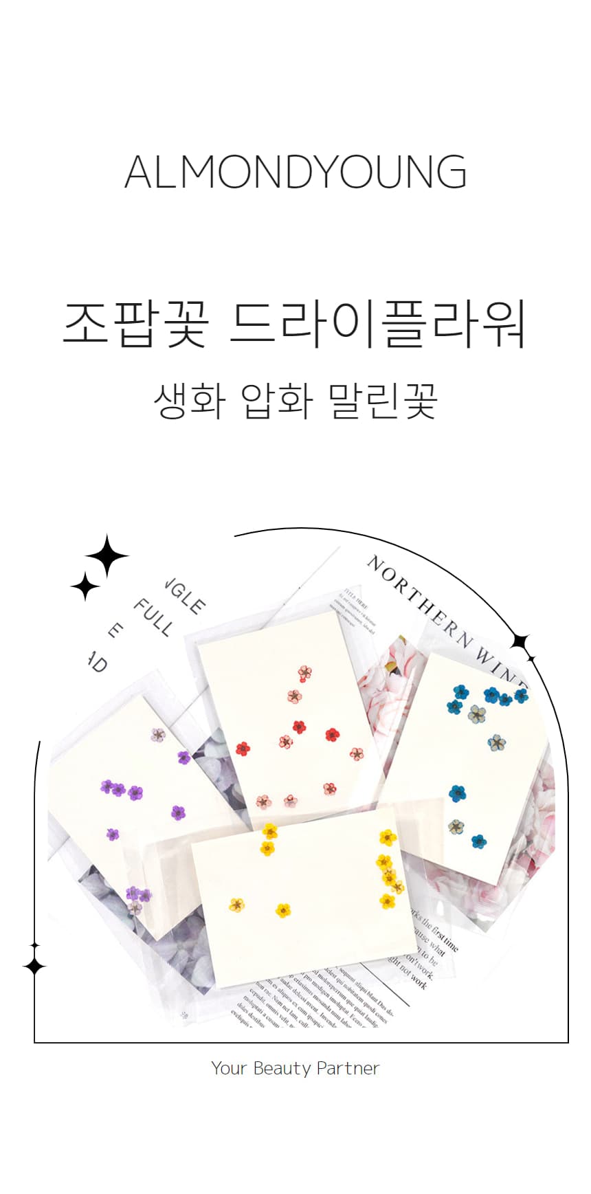 조팝꽃 드라이플라워 생화 압화 말린꽃 상세 이미지 1