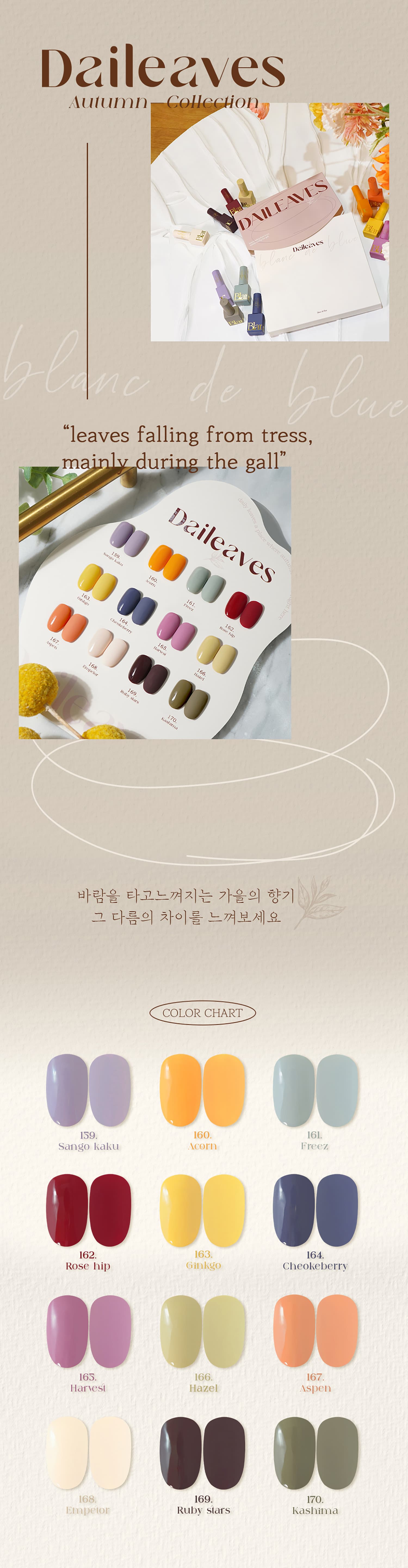 블랑드블루 데일리브스 12종 상세 이미지 1