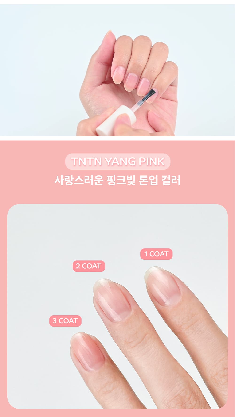 파셋 리페어 튼튼양 딴딴양 핑크/피치/오로라/머메이드 네일영양제 7ml 상세 이미지 11