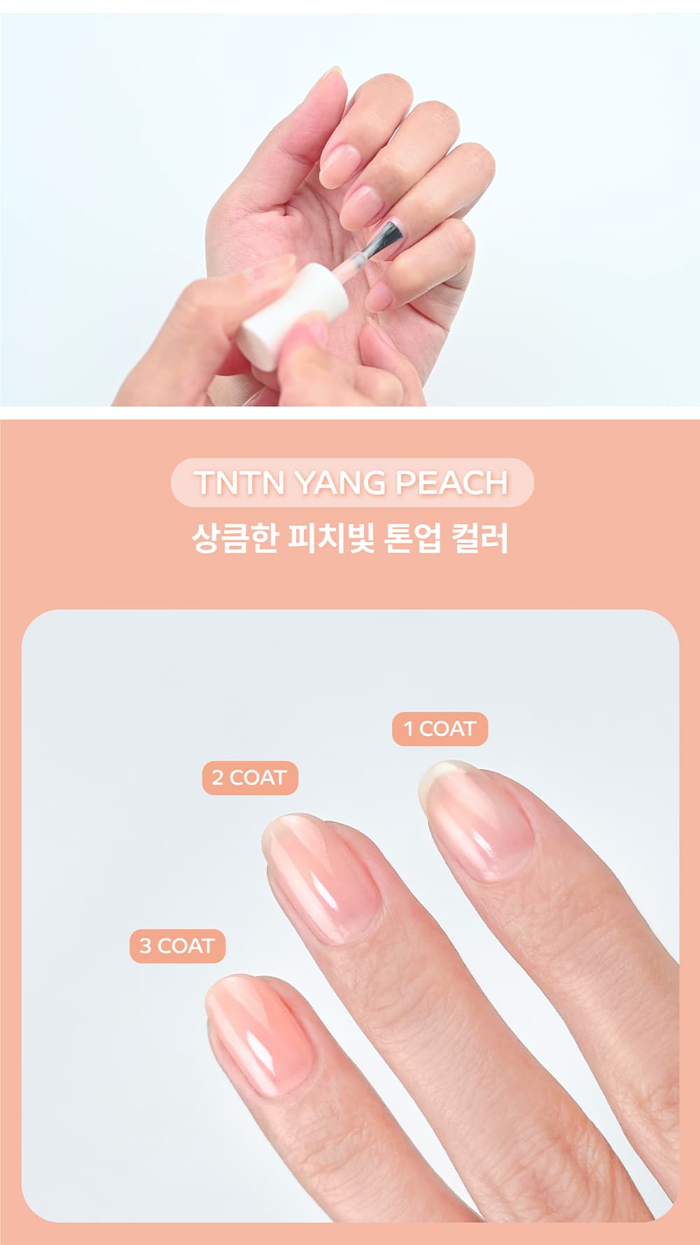 파셋 리페어 튼튼양 딴딴양 핑크/피치/오로라/머메이드 네일영양제 7ml 상세 이미지 14