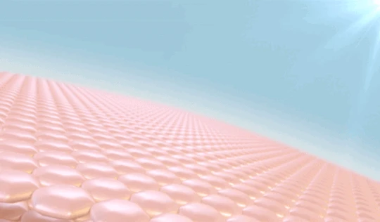 모스티브 진짜 오버탑 30g 상세 이미지 10
