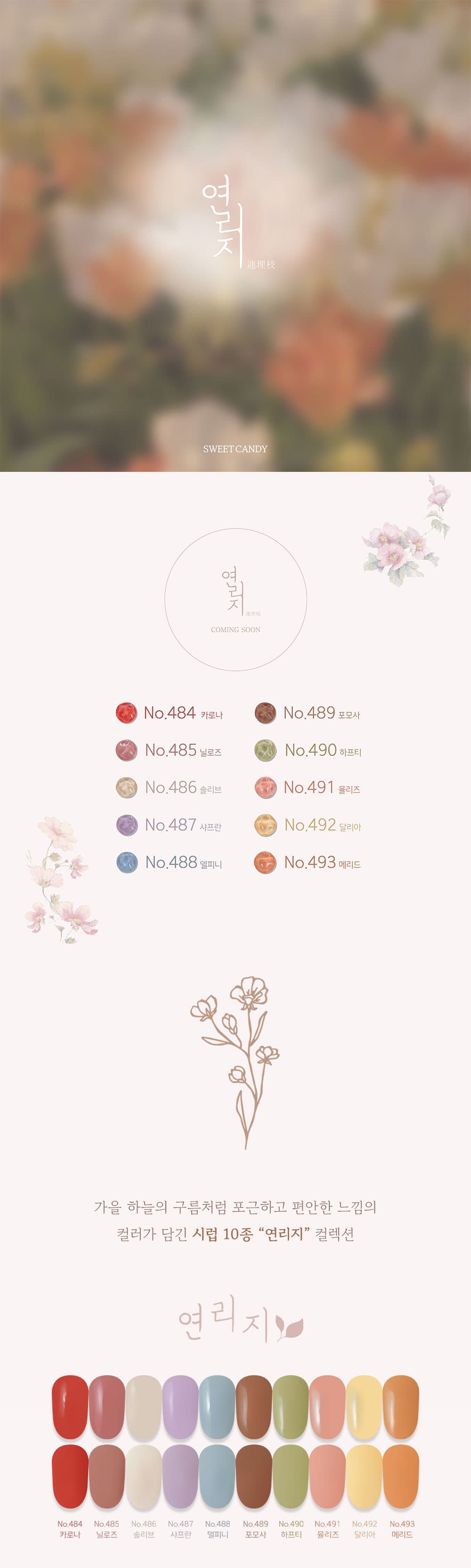 캔디젤 캔디 연리지 10종 시럽젤 상세 이미지 1
