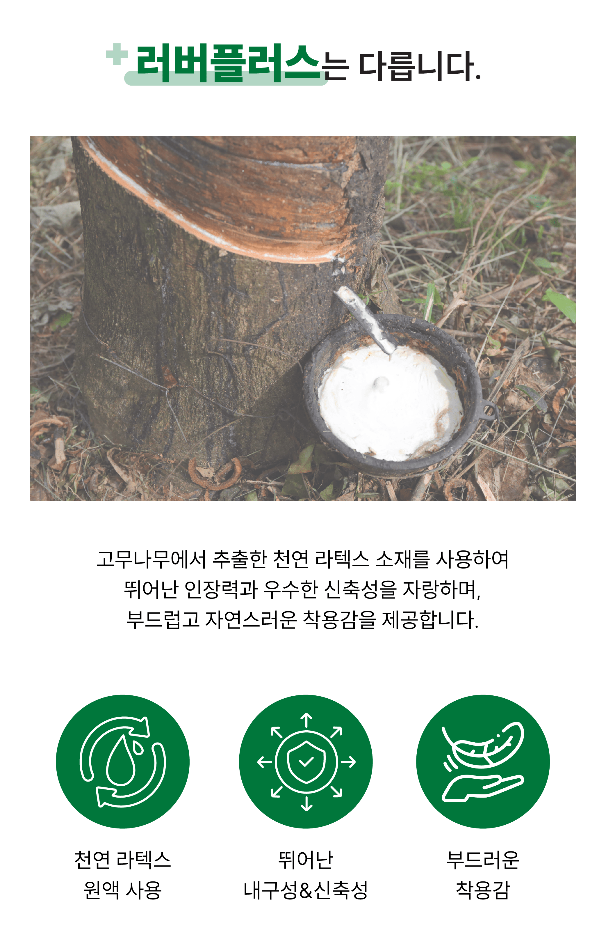RUBBERPLUS 러버플러스 글러브 장갑 100매입 상세 이미지 2