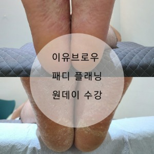 [인천] 이유브로우 패디 플래닝 원데이 수강