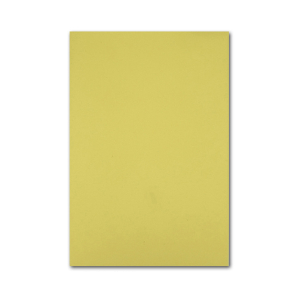 22) 두꺼운 노란 피부 대형 고무판